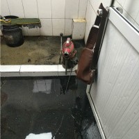 客戶案例